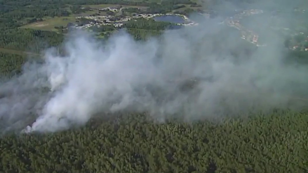 Crews battle Pinellas County brush fire